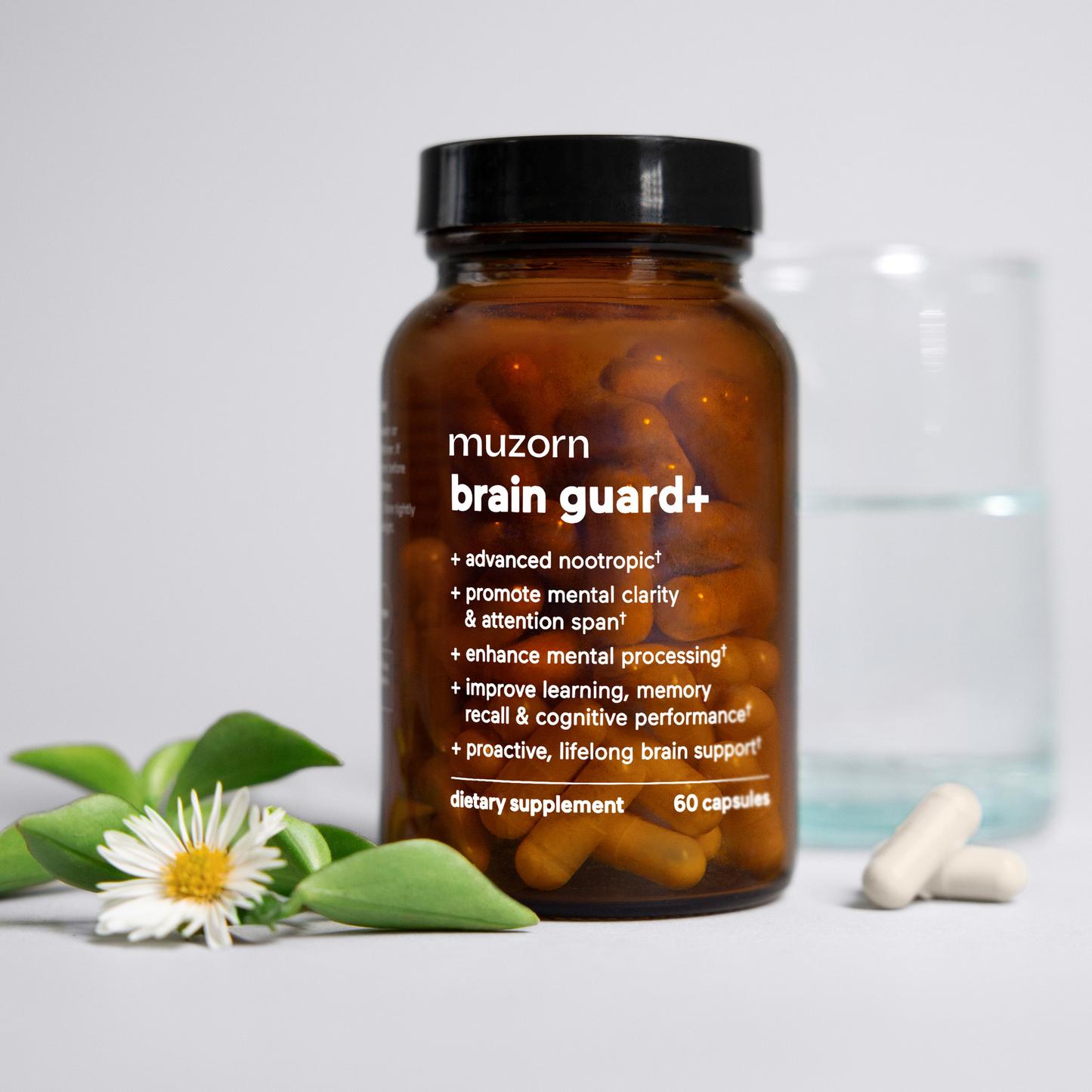 MUZORN brain guard+